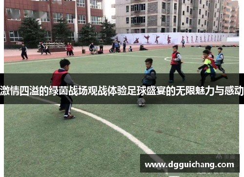 激情四溢的绿茵战场观战体验足球盛宴的无限魅力与感动